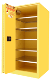 Paint storage cabinet