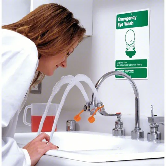 HG1100 - Eye Safe Faucet Mounted Eye Wash - Outler Heads 3" Apart