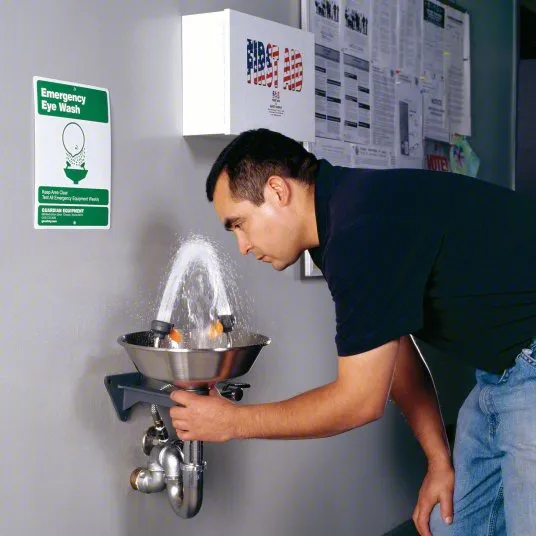 HG1814 - Wall-Mounted Eye Wash with Satin Finish Stainless Steel Bowl